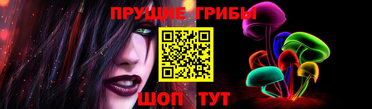 Галлюциногенные грибы Psilocybine cubensis  Вход с VPN  Печора 