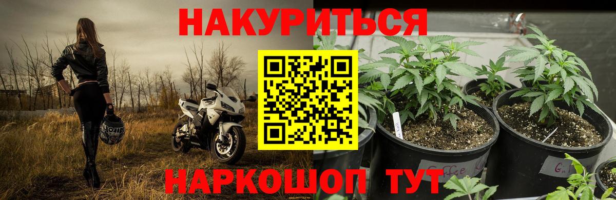 Шишки марихуана план  Вход с VPN  МАРИХУАНА AK-47  Печора  Бошки марихуана LSD WEED  Бошки Шишки AK-47 